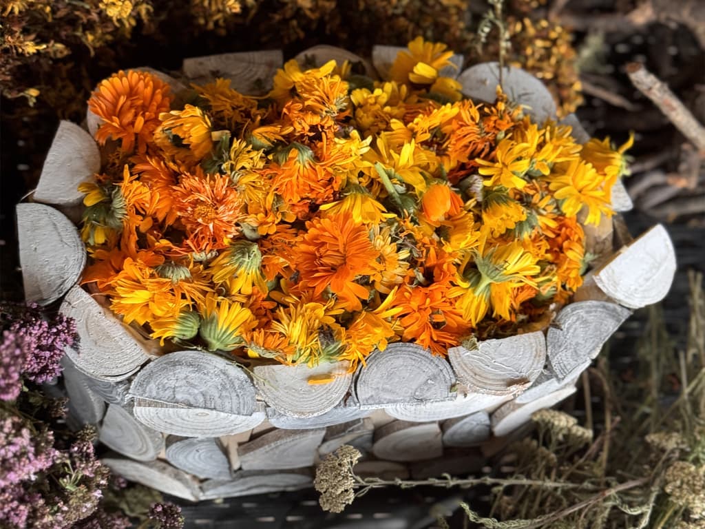 Cremă de sunătoare și gălbenele – alinare naturală pentru pielea sensibilă
